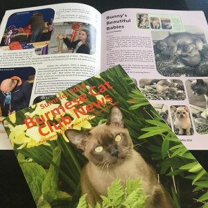 The Burmese Cat Club Magazine