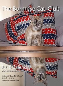burmese cat club photo-calendar-2018